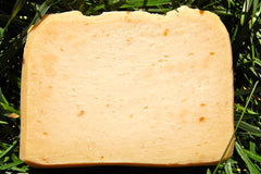 Campers Soap